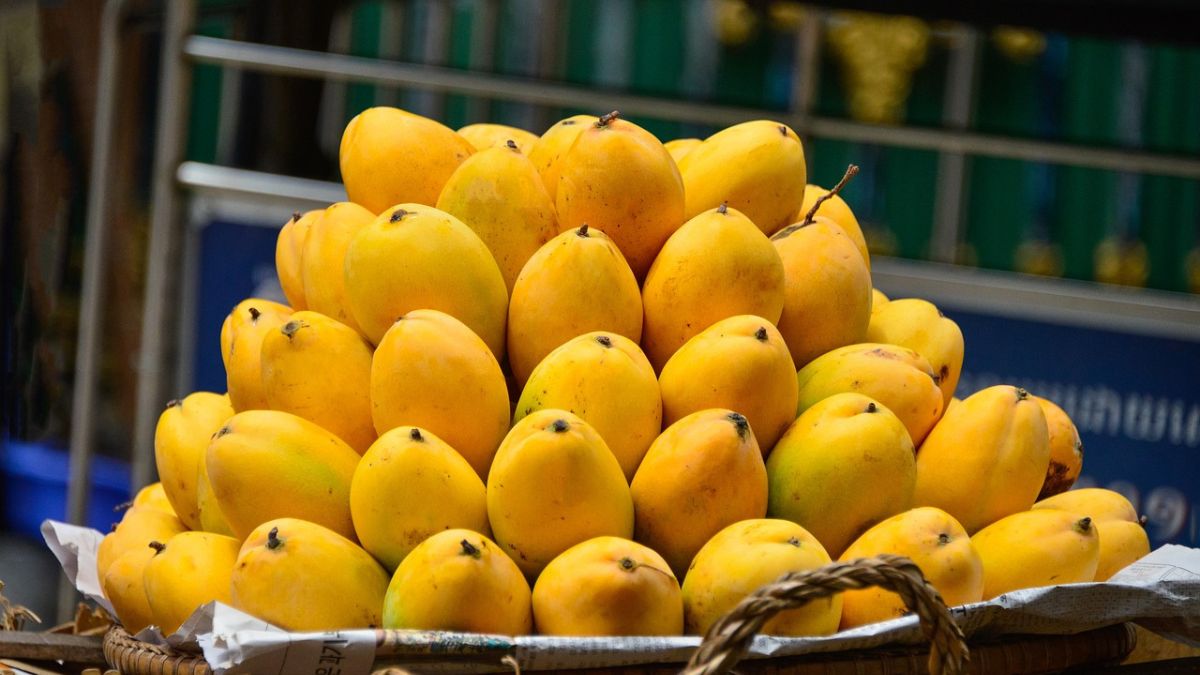 In Graphics l Which countries are importing Indian mangoes the most? In Graphics l Which countries are importing Indian mangoes the most?