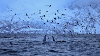 Representational image. AFP