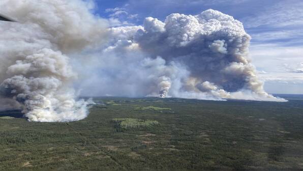 In Graphics | What causes wildfires? How do they spread so quickly?