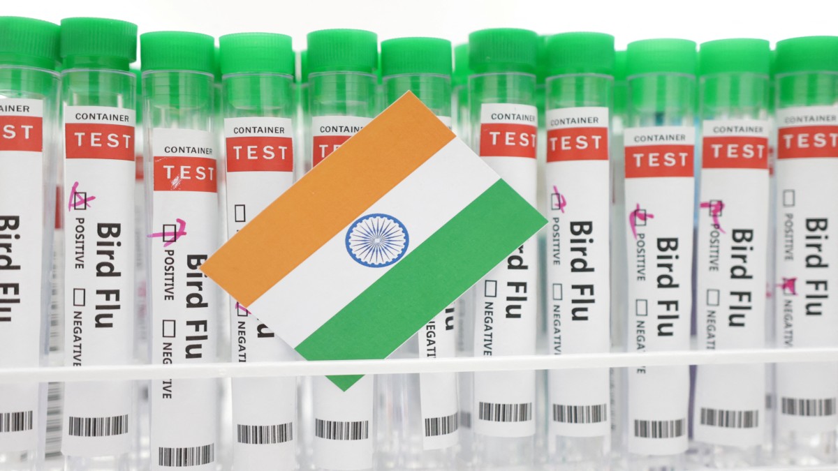 Test tubes labelled "Bird Flu" and a piece of paper in the colours of the Indian national flag are seen in this picture illustration, 14 January 2023. Reuters Test tubes labelled "Bird Flu" and a piece of paper in the colours of the Indian national flag are seen in this picture illustration, 14 January 2023. Reuters