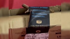A Slithering Surprise: WATCH Bengaluru couple find cobra in Amazon package