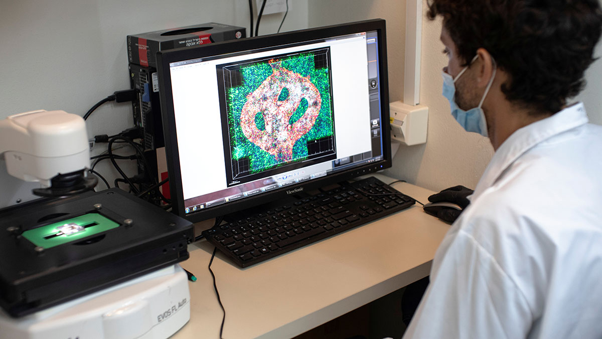 (File) Israeli researcher Eilam Yeini examines a microscope image of a blood vessel tube surrounded by cancer tissues, as part of a brain cancer research that uses patients' cells to make 3D printed models of tumours, at Tel Aviv University, Reuters (File) Israeli researcher Eilam Yeini examines a microscope image of a blood vessel tube surrounded by cancer tissues, as part of a brain cancer research that uses patients' cells to make 3D printed models of tumours, at Tel Aviv University, Reuters