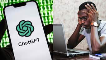 Since the launch of ChatGPT, Automation-prone fields, such as writing, software, and app development, experienced a 21 per cent decline in job listings. Data entry and social media post-production jobs saw a 13 per cent decrease, while roles in image generation, including graphic design and 3D modelling, fell by 17 per cent. Image Credit: Reuters, Pexels.