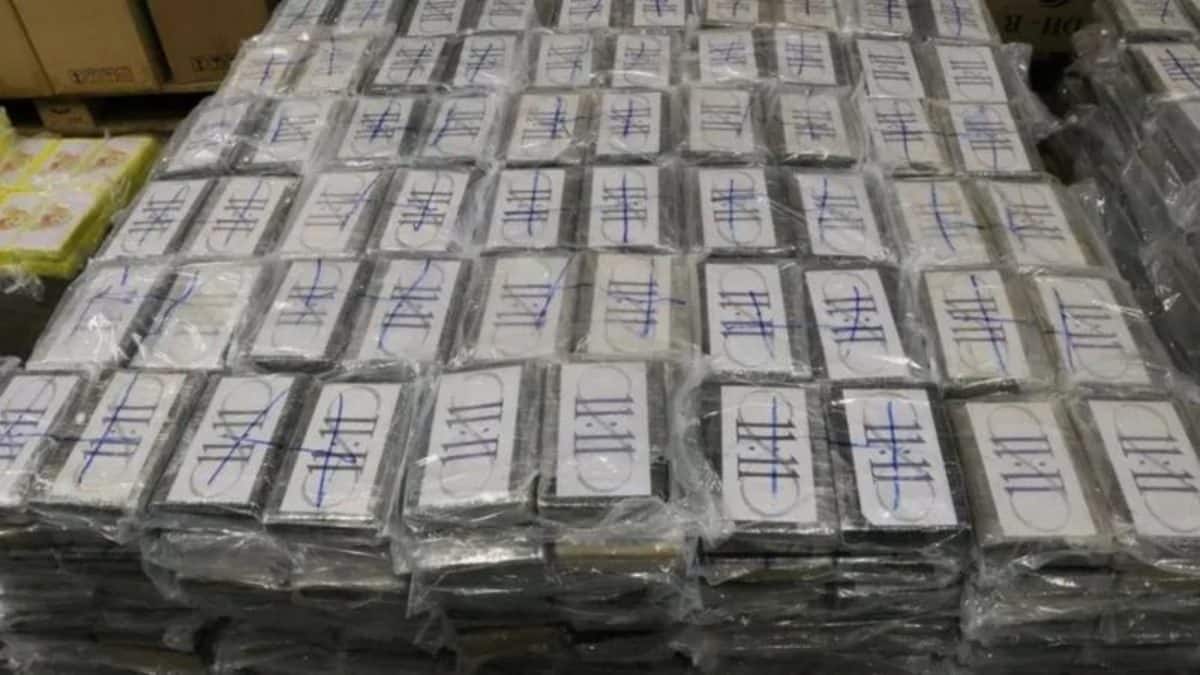 190 kilos of cocaine seized! Bulgarian customs bust drugs worth $7 mn on ship from Peru – Firstpost