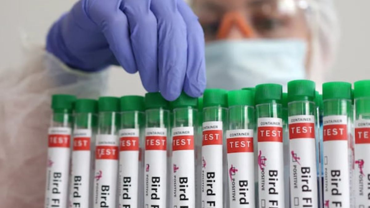 What are the questions you should ask about new virus in the news? What are the questions you should ask about new virus in the news?