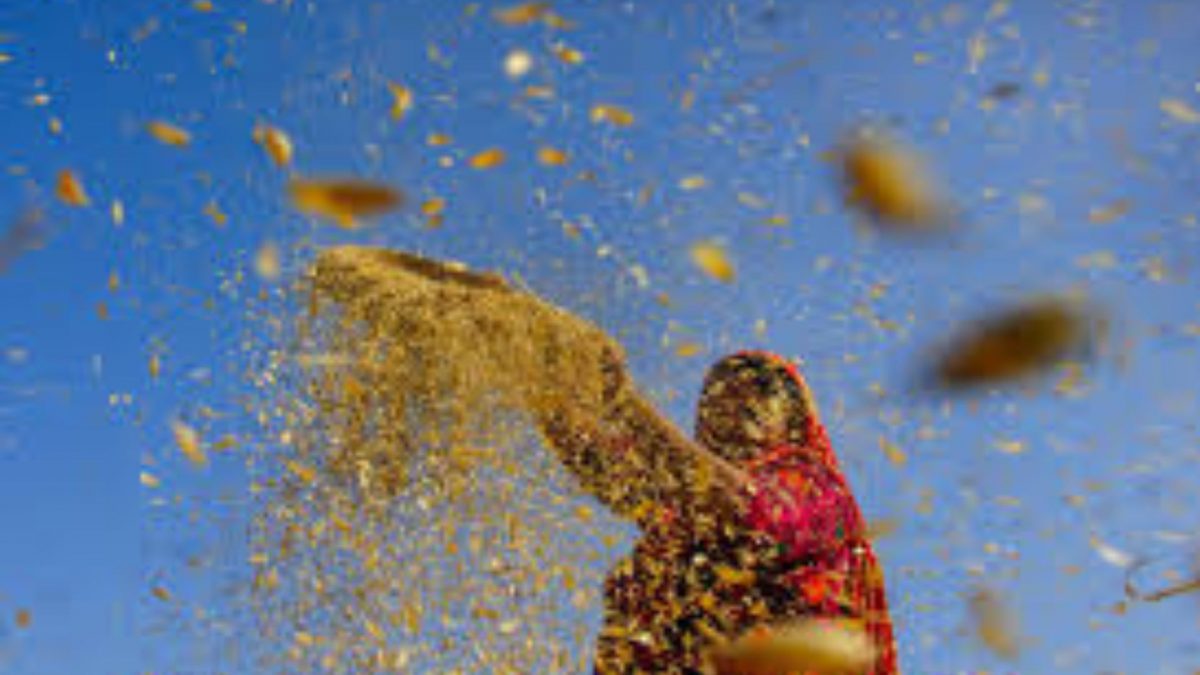 Source: PTI. Source: PTI.