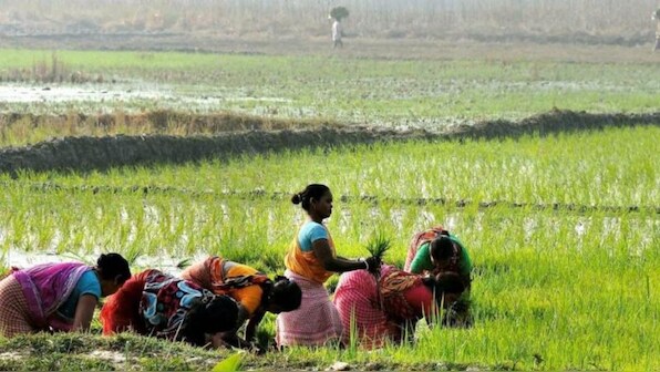 Why soil is the future of human civilisation