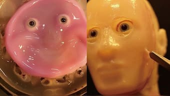 The potential applications of this research are extensive. In the healthcare industry, for example, robots with lifelike, self-healing skin could assist the elderly, providing care and companionship. Image Credit: University of Tokyo