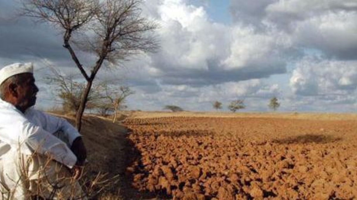 Economic Survey 2024: Agriculture can be a growth engine if… Economic Survey 2024: Agriculture can be a growth engine if…