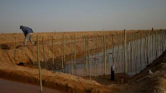 Representational Image.