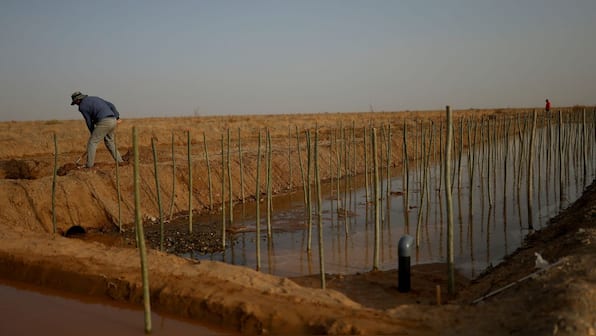 How China plans to achieve 'self-sufficiency' with its first food security law