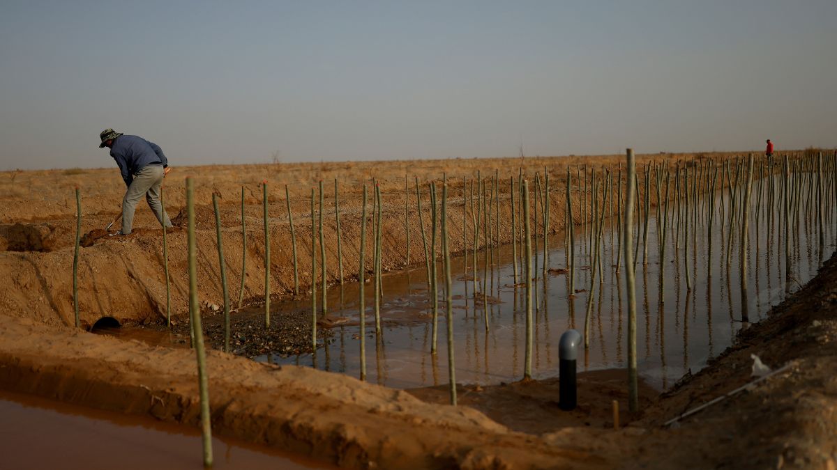 How China plans to achieve 'self-sufficiency' with its first food security law How China plans to achieve 'self-sufficiency' with its first food security law