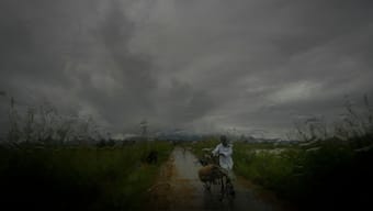 Representative image. AP