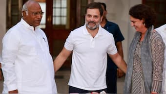 Priyanka Gandhi Vadra will be Congress' candidate in the Wayanad Lok Sabha bypoll. PTI 