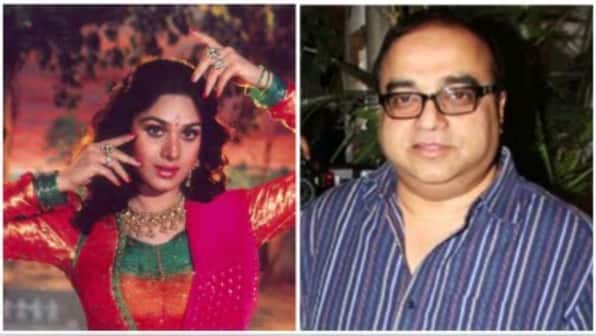 Meenakshi Seshadri reveals she was thrown out of the film 'Damini' for refusing director Rajkumar Santoshi's marriage proposal: 'I decided not to…'