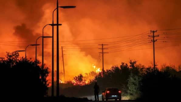 40 wildfires, wind at 100 kmph: Pressure on Athens as Greece battles inferno season