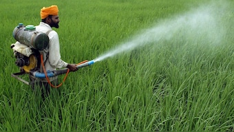 A recent report has found that India's marginal farmers were most affected by  rain-related events in the past five years. Representational Image/Reuters