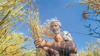 What Economic survey has to say about MSP. PTI  