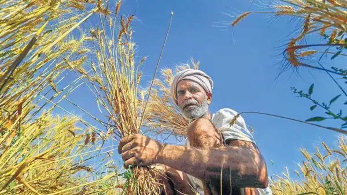 What Economic survey has to say about MSP. PTI What Economic survey has to say about MSP. PTI