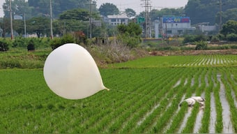 A balloon presumably sent by North Korea, is seen in a paddy field in Incheon, South Korea, on 10 June. File image/AP
