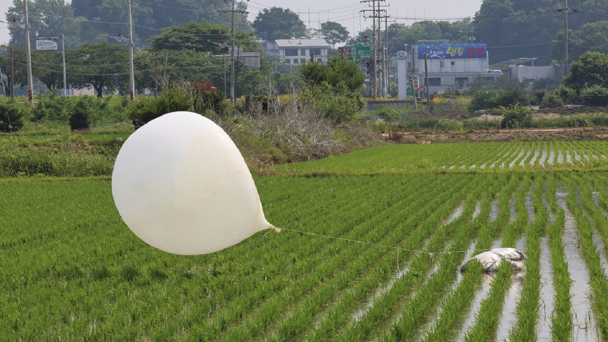A balloon presumably sent by North Korea, is seen in a paddy field in Incheon, South Korea, on 10 June. File image/AP A balloon presumably sent by North Korea, is seen in a paddy field in Incheon, South Korea, on 10 June. File image/AP