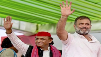 Congress leader Rahul Gandhi with Samajwadi Party chief Akhilesh Yadav during an election rally in Amroha. The SP-Congress combine is leading in 40 seats. File image/PTI