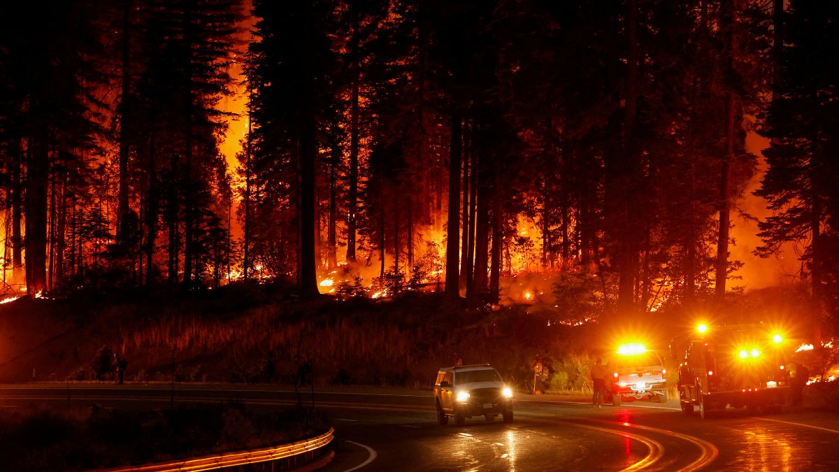 A vehicle passes firefighters standing by the road as the Park Fire burns, near Jonesville, California, US, July 28, 2024. Reuters A vehicle passes firefighters standing by the road as the Park Fire burns, near Jonesville, California, US, July 28, 2024. Reuters
