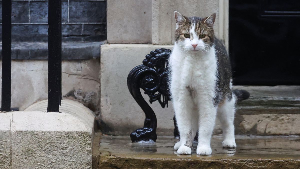 With an in-house cat and ghost, how 10 Downing Street became the UK PM ...