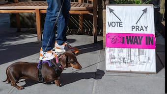 A person and a dog wait outside St James' Church polling station during the general election in Edinburgh, Scotland, Britain, July 4, 2024. Reuters