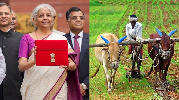  FM Sitharaman’s Budget 2024 gives farmers and agriculture a digital makeover