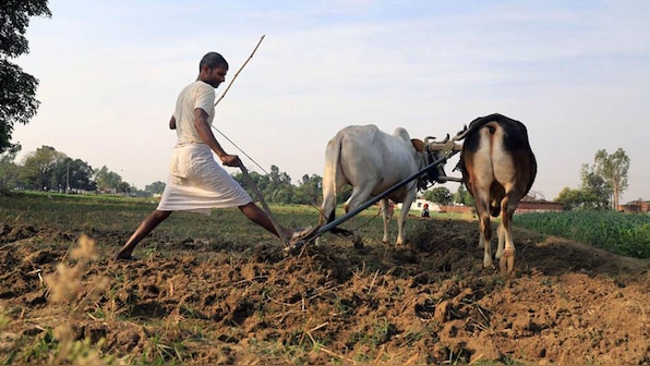  A crucial turning point for Indian agriculture