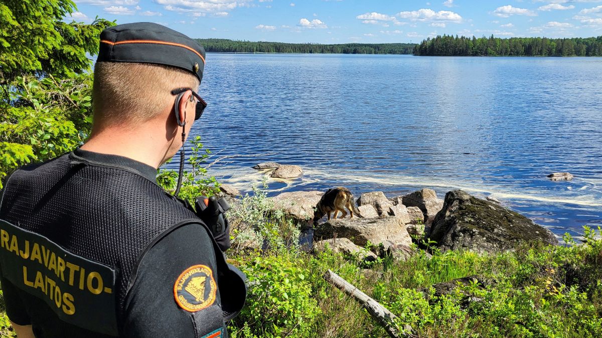 A Finnish border guard and their dog patrol the Finnish-Russian border which is marked by a narrow clearing in the forest near Hoilola village, in Eastern Finland, June 5, 2024. File Image/Reuters A Finnish border guard and their dog patrol the Finnish-Russian border which is marked by a narrow clearing in the forest near Hoilola village, in Eastern Finland, June 5, 2024. File Image/Reuters