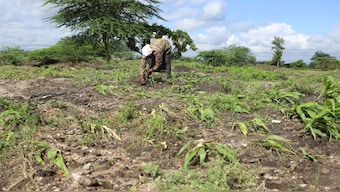 62-year old farmer Martha Waema stands in her three-acre farm that was left submerged by weeks of relentless rainfall in Machakos, Kenya. AP