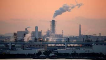 The transition will require concerted effort across all sectors of society. Image: REUTERS