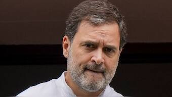 Leader of Opposition and Congress leader Rahul Gandhi. PTI