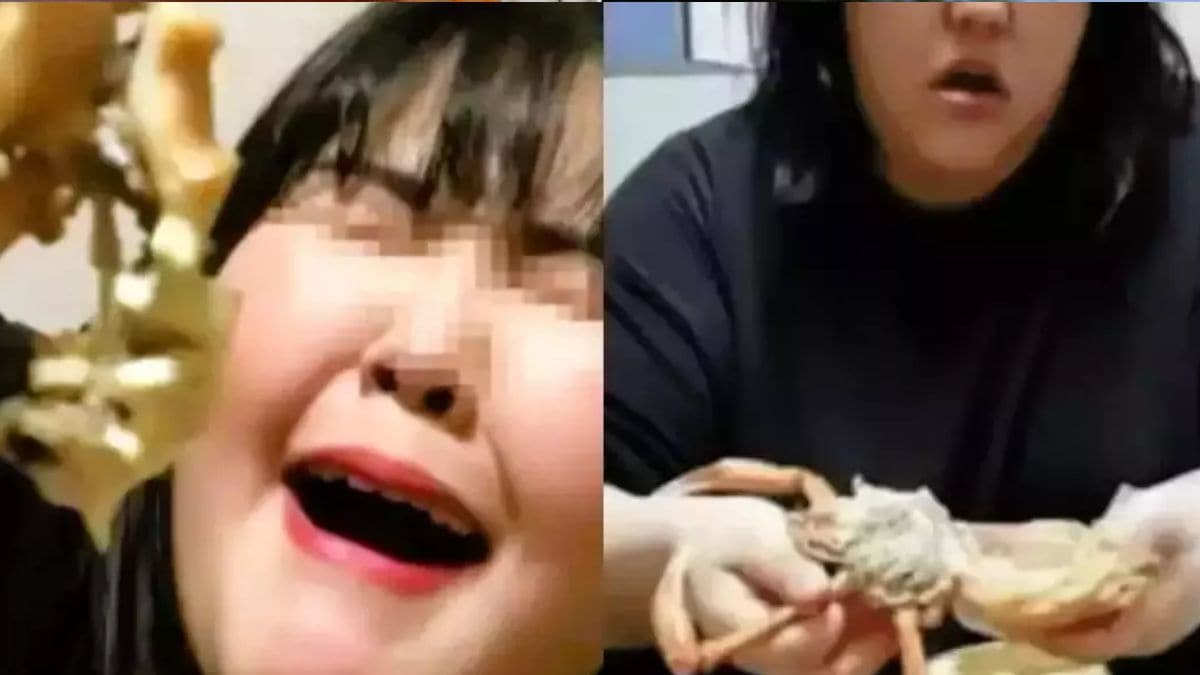 Who is the Chinese influencer Pan Xiaoting who passed away at 24 due to overeating on livestream?