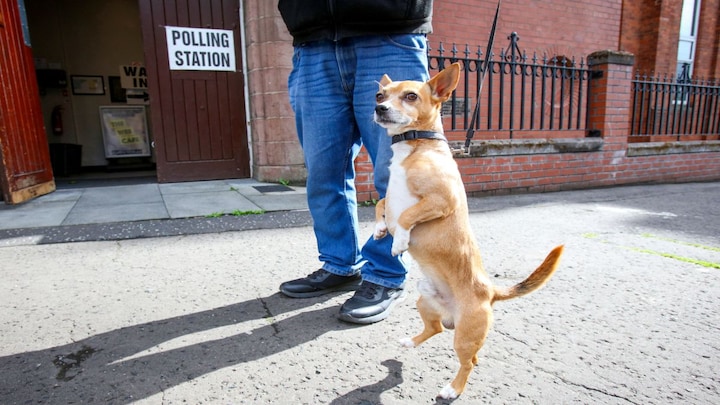 In Photos | It’s raining cats and dogs at the UK general elections!