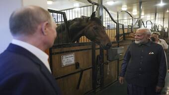 Indian Prime Minister PM Narendra Modi and Russian President Vladimir Putin visit a stable during an informal meeting at Novo-Ogaryovo residence, outside Moscow, Russia. After personal talks on Day 1, the two will hold formal talks on Tuesday. AP
