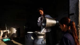 Before the hike, milk costs in Pakistan were comparable with developing countries such as Vietnam and Nigeria, according to a spokesman of a dairy producer. Image for Representation. Reuters