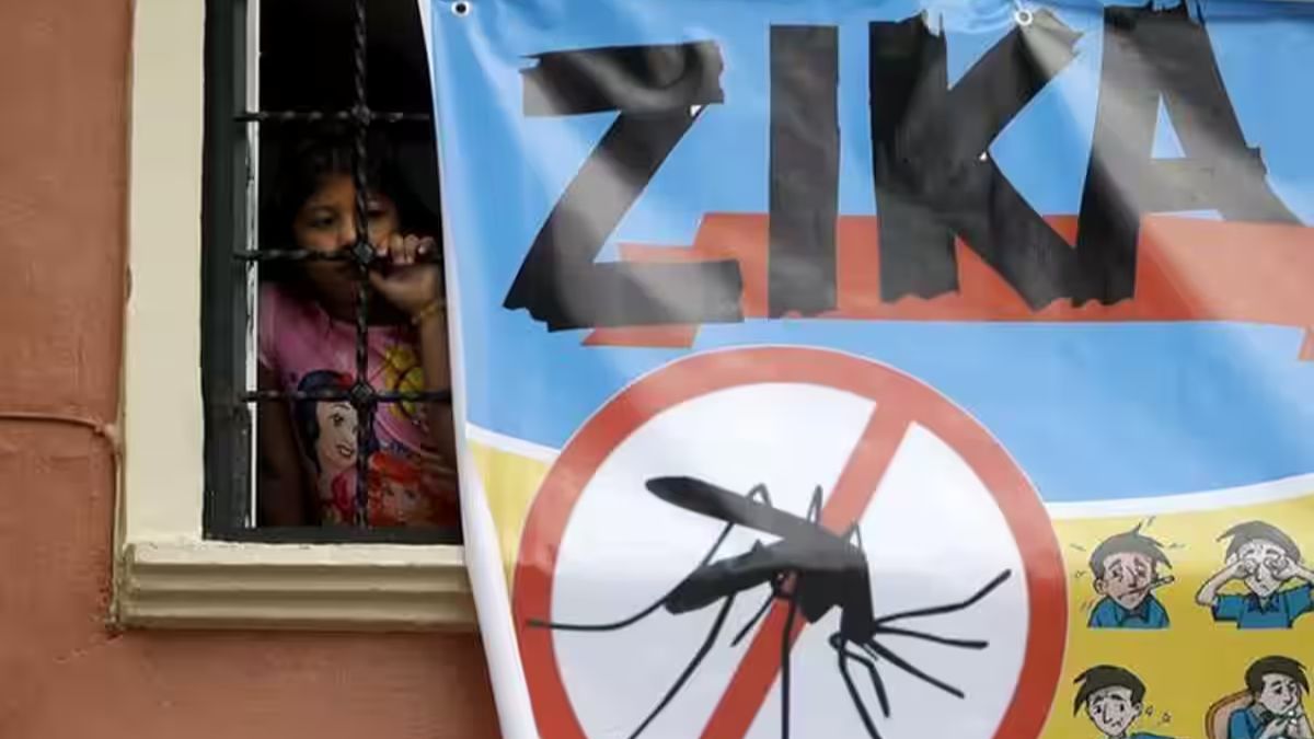 Zika virus cases on the rise in India: Should you be worried? Zika virus cases on the rise in India: Should you be worried?