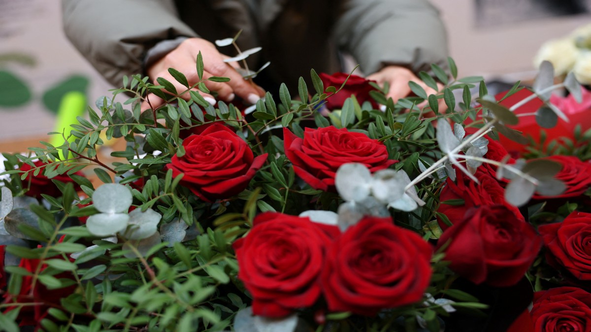 Why do roses have thorns? The science explained Why do roses have thorns? The science explained