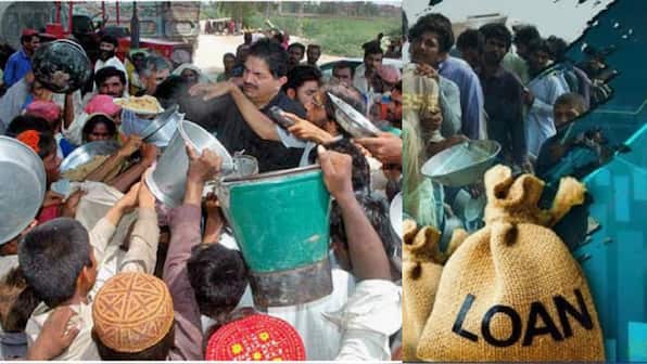 Pakistan allocates Rs 1.2 million to employ cats to hunt rats in Parliament