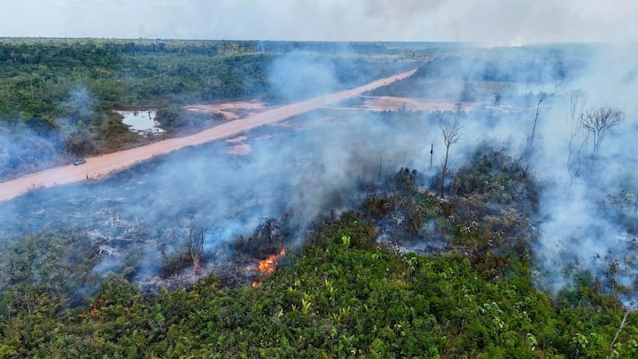 How Brazil is chopping down Amazon rainforest to build highway for COP30 Summit