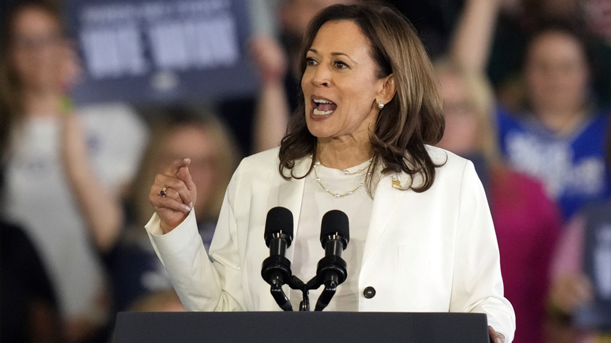 (File) Democratic presidential nominee Vice President Kamala Harris speaks at a campaign rally on August 7, 2024, in Romulus, Mich. AP (File) Democratic presidential nominee Vice President Kamala Harris speaks at a campaign rally on August 7, 2024, in Romulus, Mich. AP