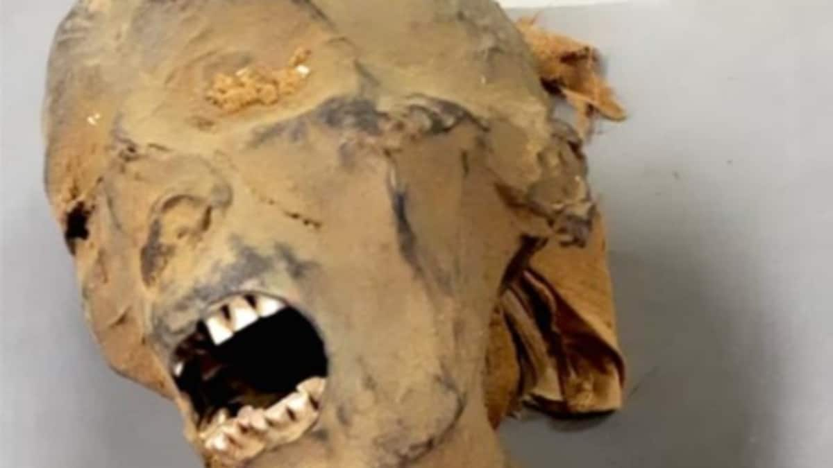 What makes for 'good' versus 'bad' mummification? 2,500-year-old mummy 'Screaming Woman' may have the answer