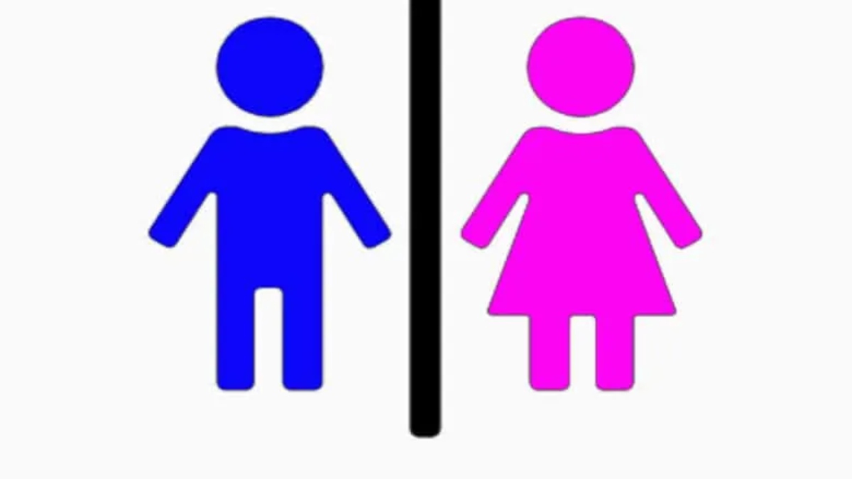 Representational image Representational image