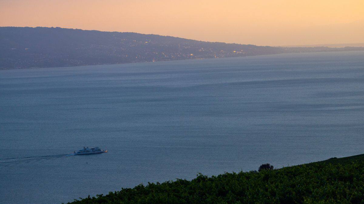 The CGN boat Lausanne is pictured on Lake Leman near Chexbres, Switzerland, August 19, 2024. File Image/Reuters