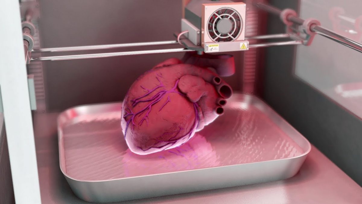 US university trying to 'print' human organs using AI, says study offers hopeful glimpse into future