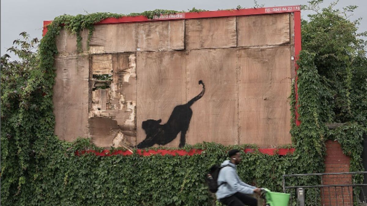 A big cat was spotted doing a stretch on a dilapidated billboard on Saturday. Image courtesy: Instagram/ @Banksy A big cat was spotted doing a stretch on a dilapidated billboard on Saturday. Image courtesy: Instagram/ @Banksy