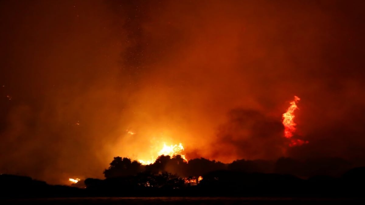 After Greece, Turkey is also facing the problem of forest fires, but why are Australia and New Zealand worried?